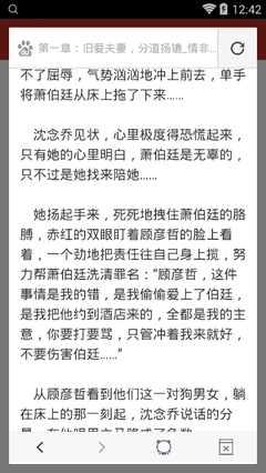 在菲律宾补办护照所需要的材料是什么(护照补办教程)